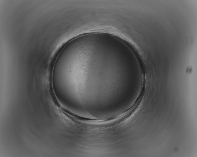X0000091581506200708201156