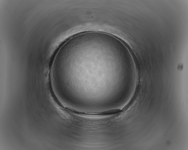 X0000091581507200708201156