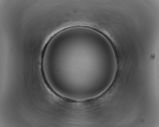 X0000091581508200708201156