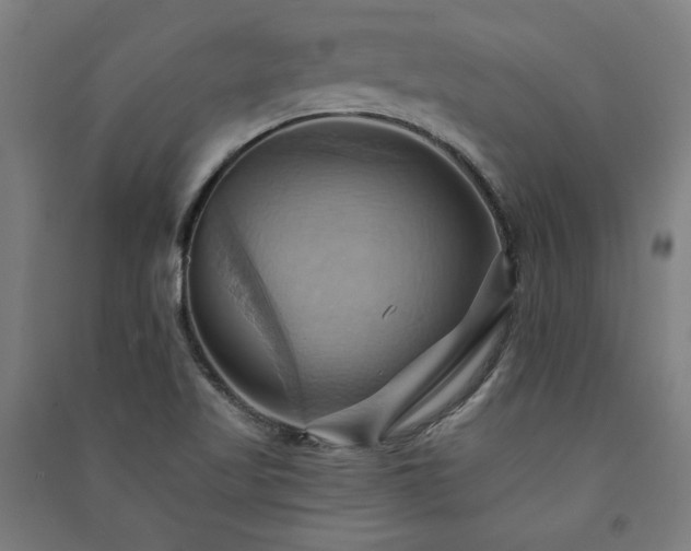 X0000091581509200708201156