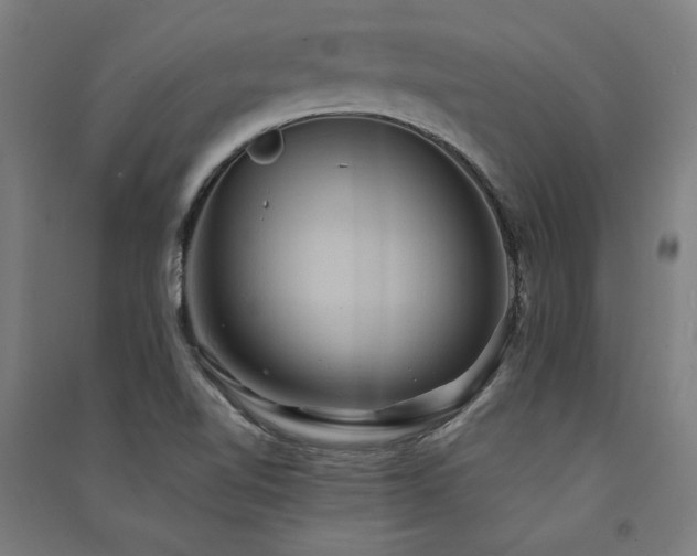 X0000091581510200708201156