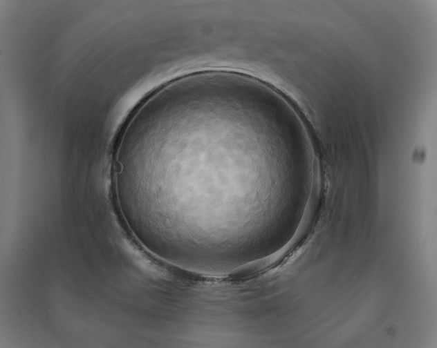 X0000091581511200708201156