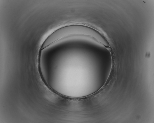 X0000091581512200708201156