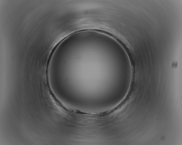 X0000091581513200708201156