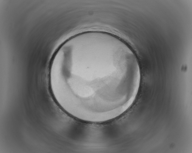 X0000091581514200708201156