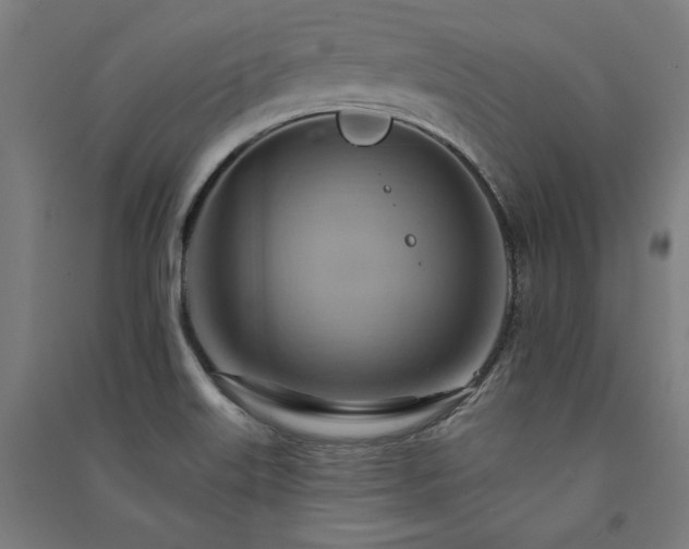 X0000091581515200708201156
