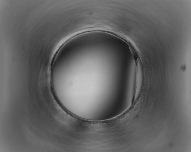 X0000091581516200708201156