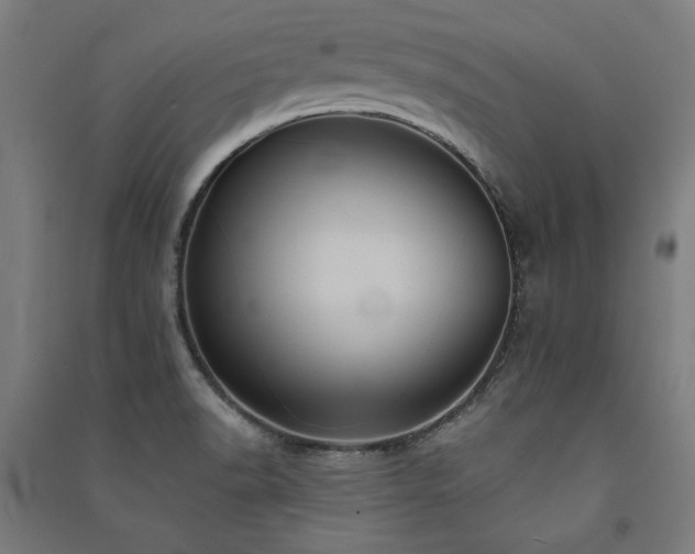 X0000091581518200708201156