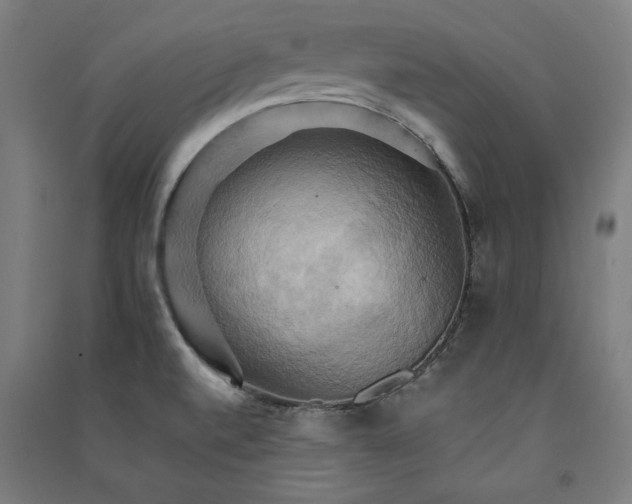 X0000091581520200708201156