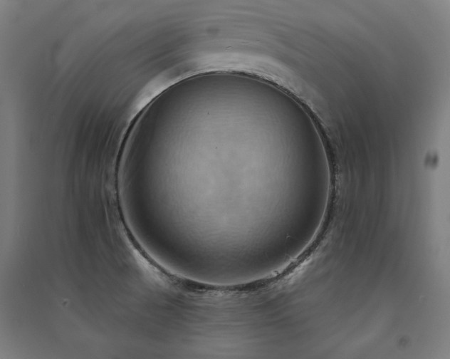 X0000091581521200708201156