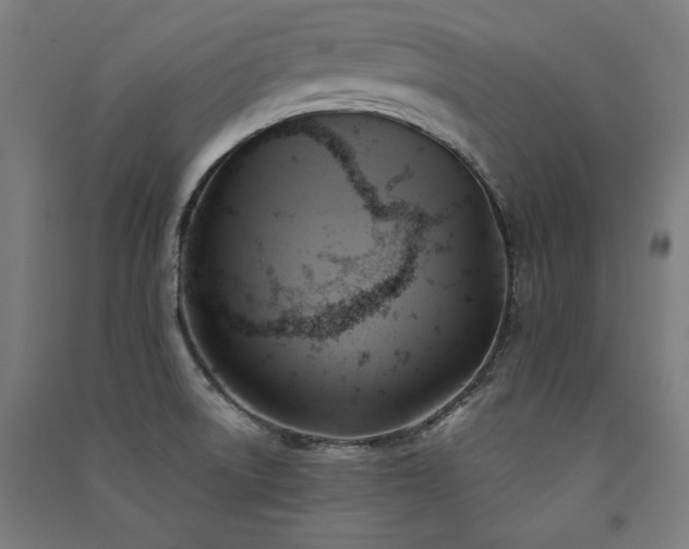 X0000091581522200708201156