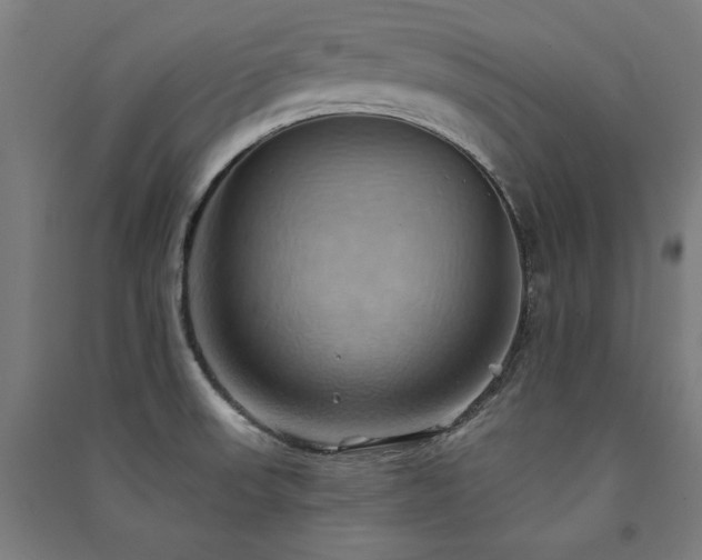 X0000091581523200708201156