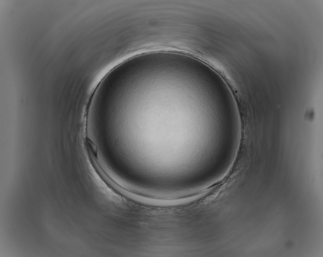 X0000091581524200708201156