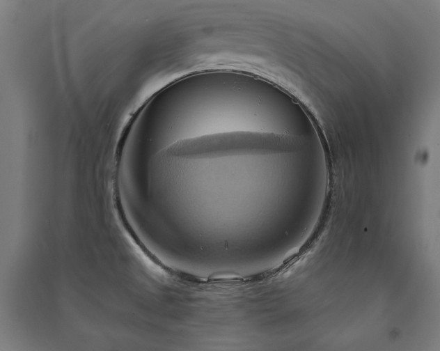 X0000091581525200708201156