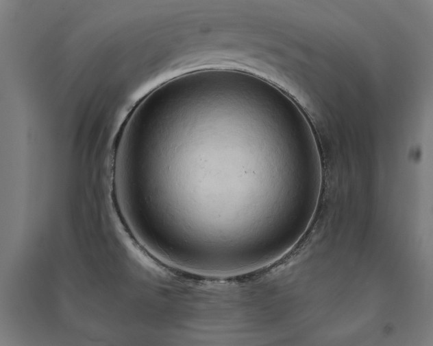 X0000091581526200708201156