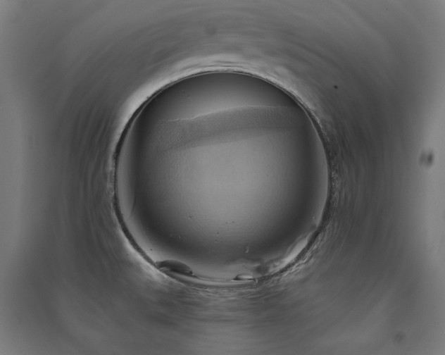X0000091581527200708201156
