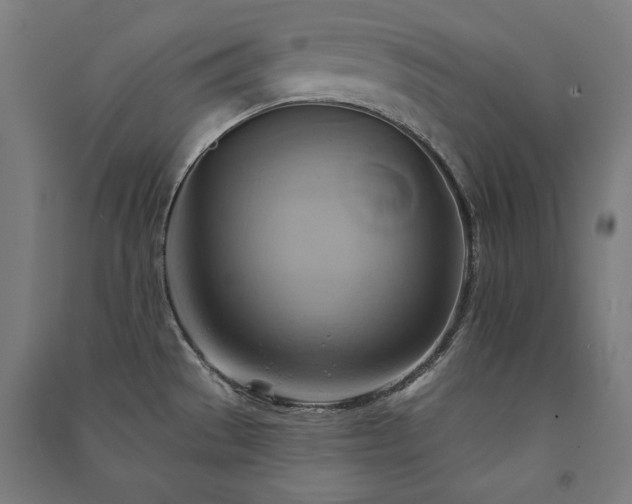 X0000091581529200708201156