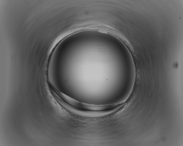 X0000091581530200708201156
