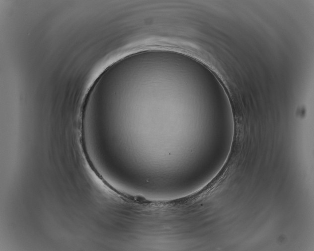 X0000091581531200708201156