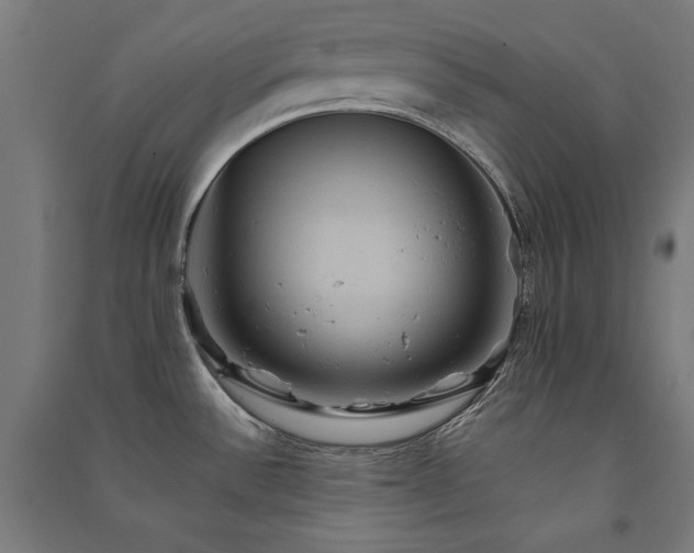 X0000091581532200708201156
