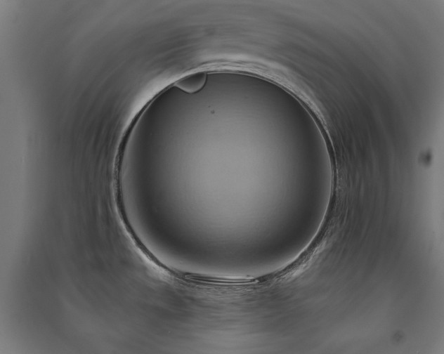 X0000091581533200708201156