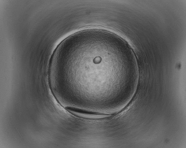 X0000091581534200708201156