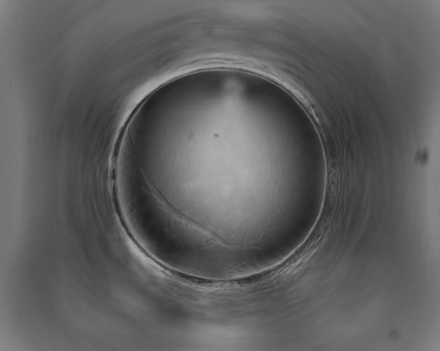 X0000091581535200708201156