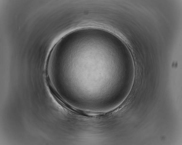 X0000091581536200708201156