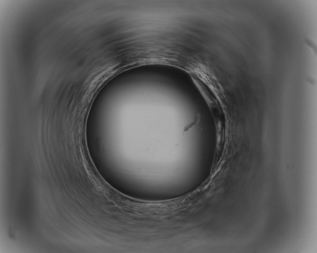 X0000091580001200708271231