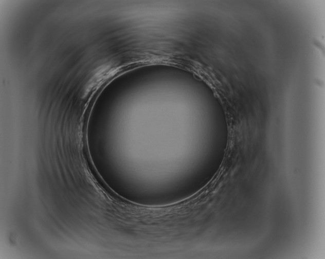 X0000091580002200708271231