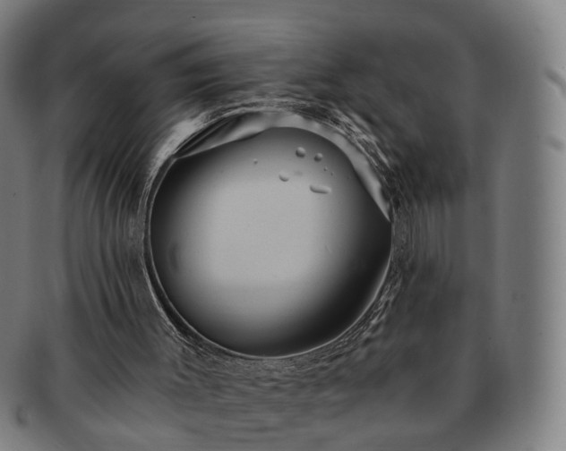 X0000091580003200708271231