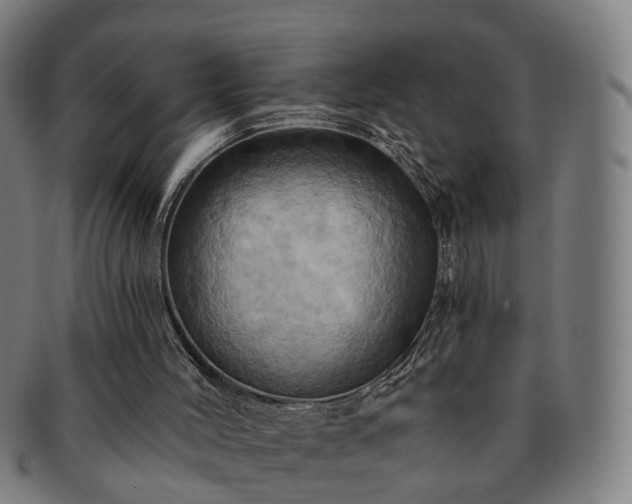 X0000091580004200708271231