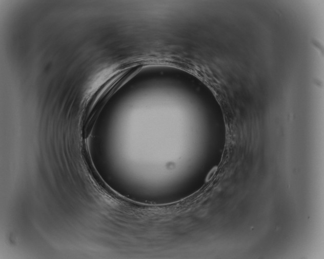 X0000091580005200708271231
