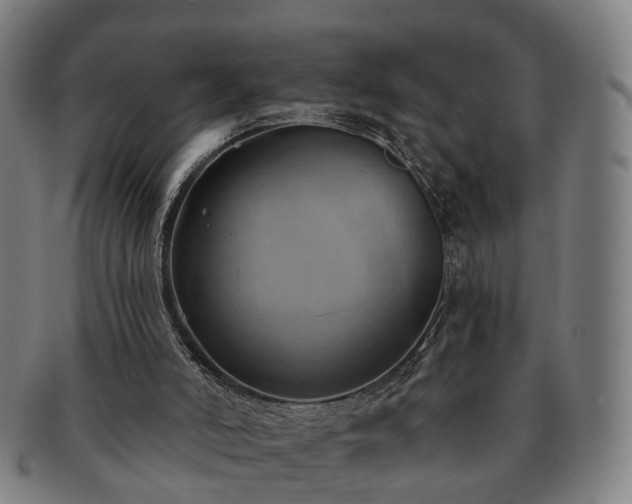 X0000091580006200708271231