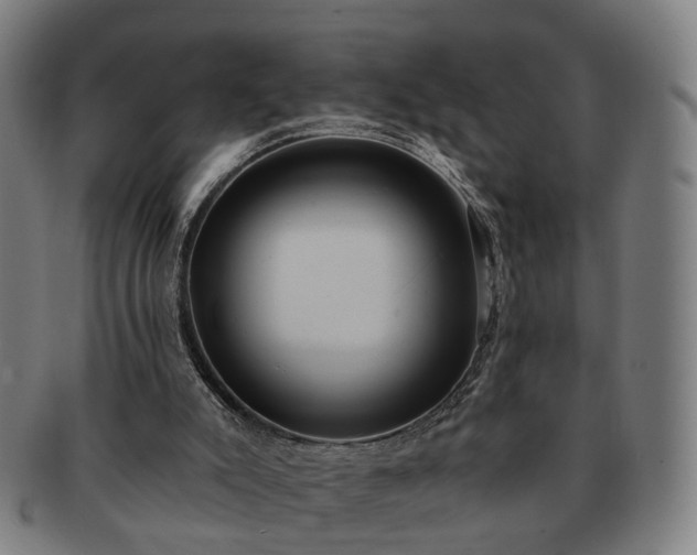 X0000091580007200708271231