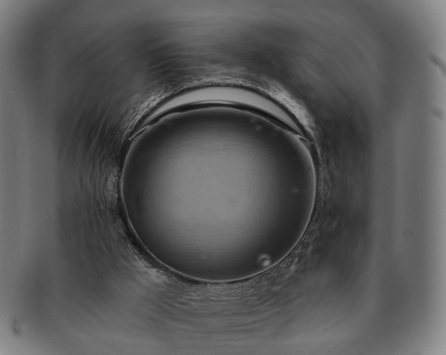 X0000091580009200708271231