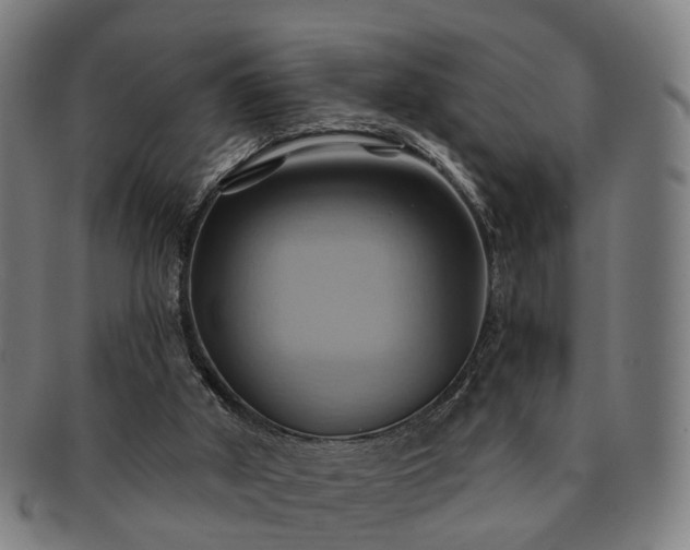 X0000091580010200708271231