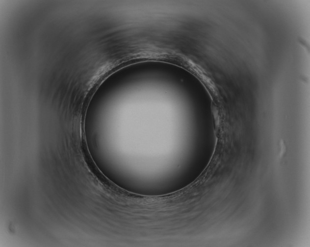 X0000091580011200708271231