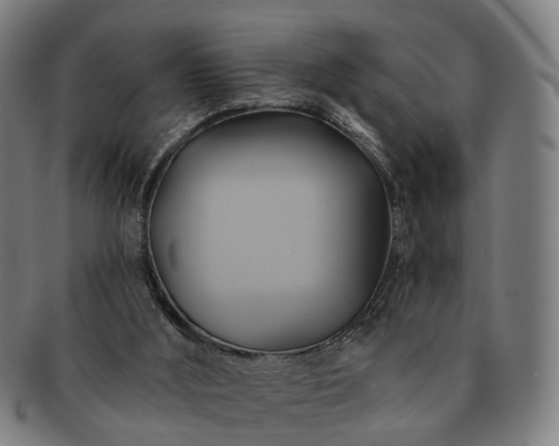 X0000091580012200708271231