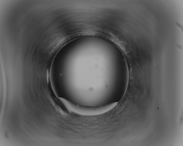 X0000091580013200708271231