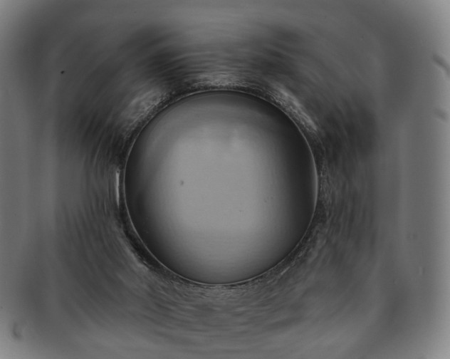 X0000091580014200708271231