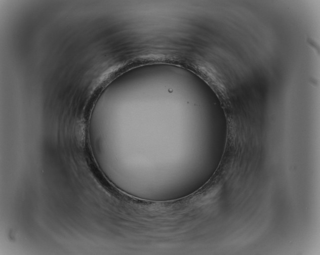 X0000091580016200708271230