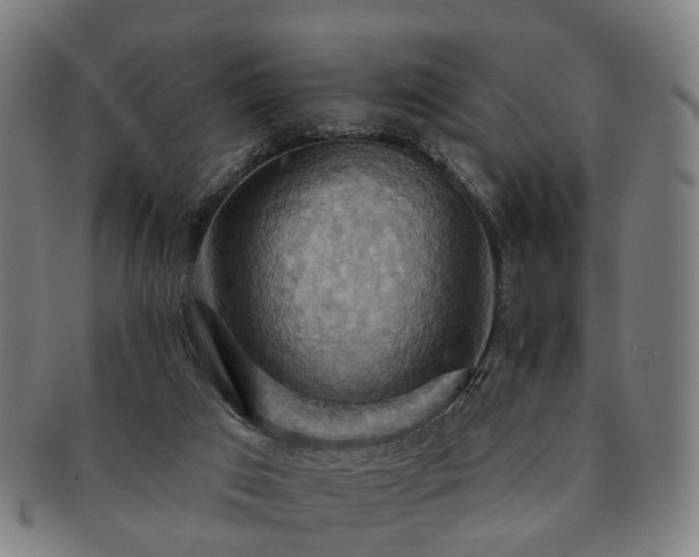 X0000091580017200708271230