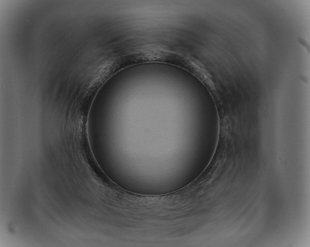 X0000091580018200708271230