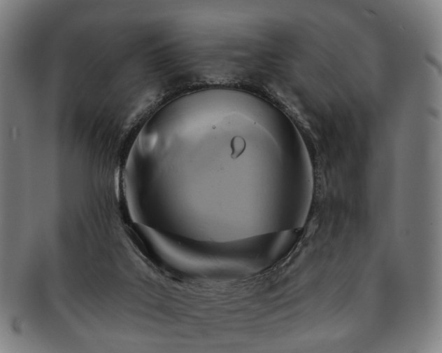 X0000091580019200708271230
