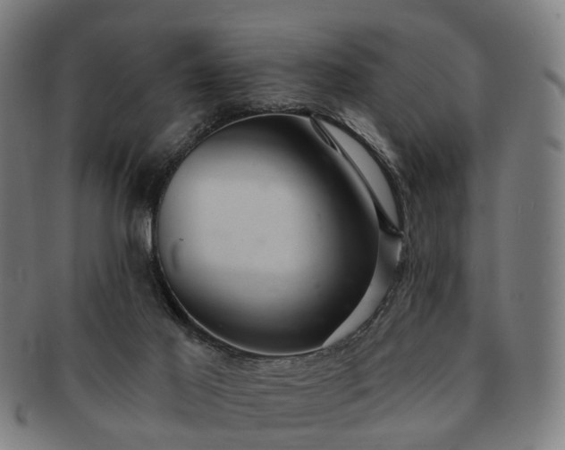 X0000091580021200708271230