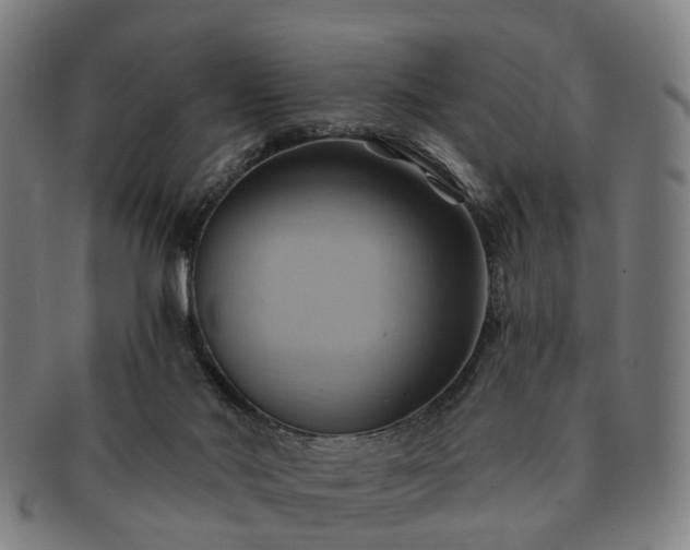 X0000091580022200708271230