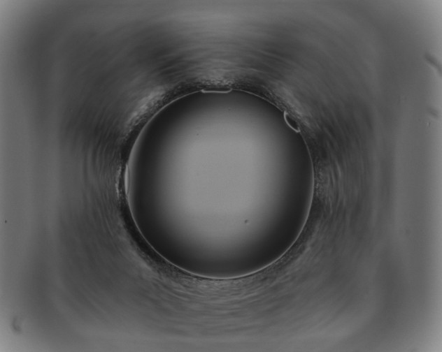 X0000091580023200708271230