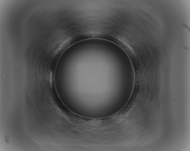 X0000091580024200708271230
