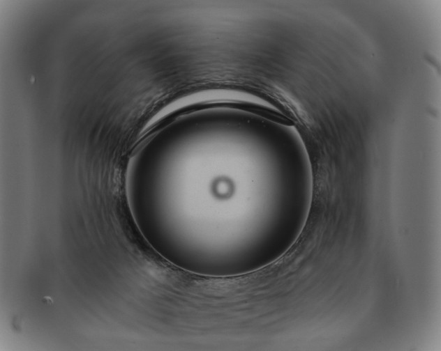 X0000091580025200708271230